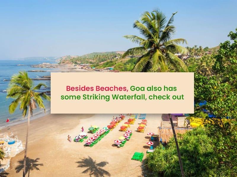 Besides Beaches, Goa Also Has Some Striking Waterfall, Check Out