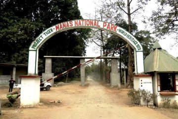 Memorable 2 Days Assam Luxury Trip Package