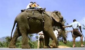 Magical 4 Days Munnar, Thekkady with Alleppey Holiday Package