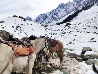 Kashmir Corridor 7 Nights 8 Days Holiday Tour Package