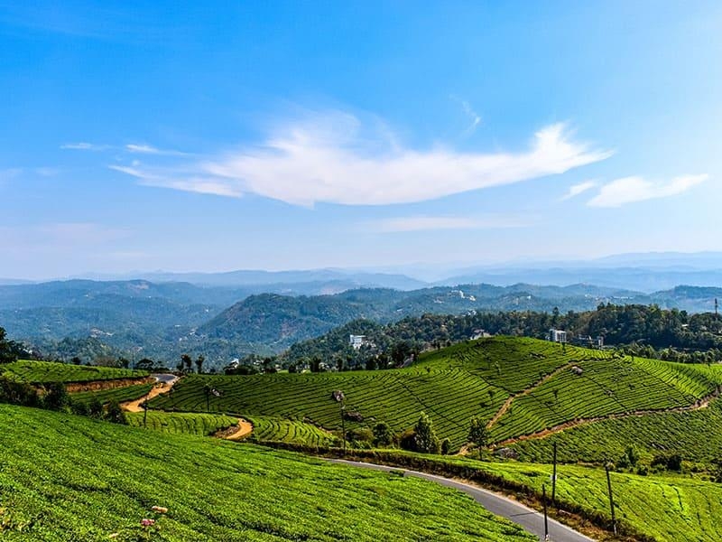 Kerala Trip Packages