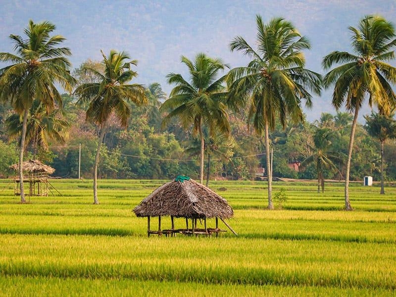 Kerala Trip Packages